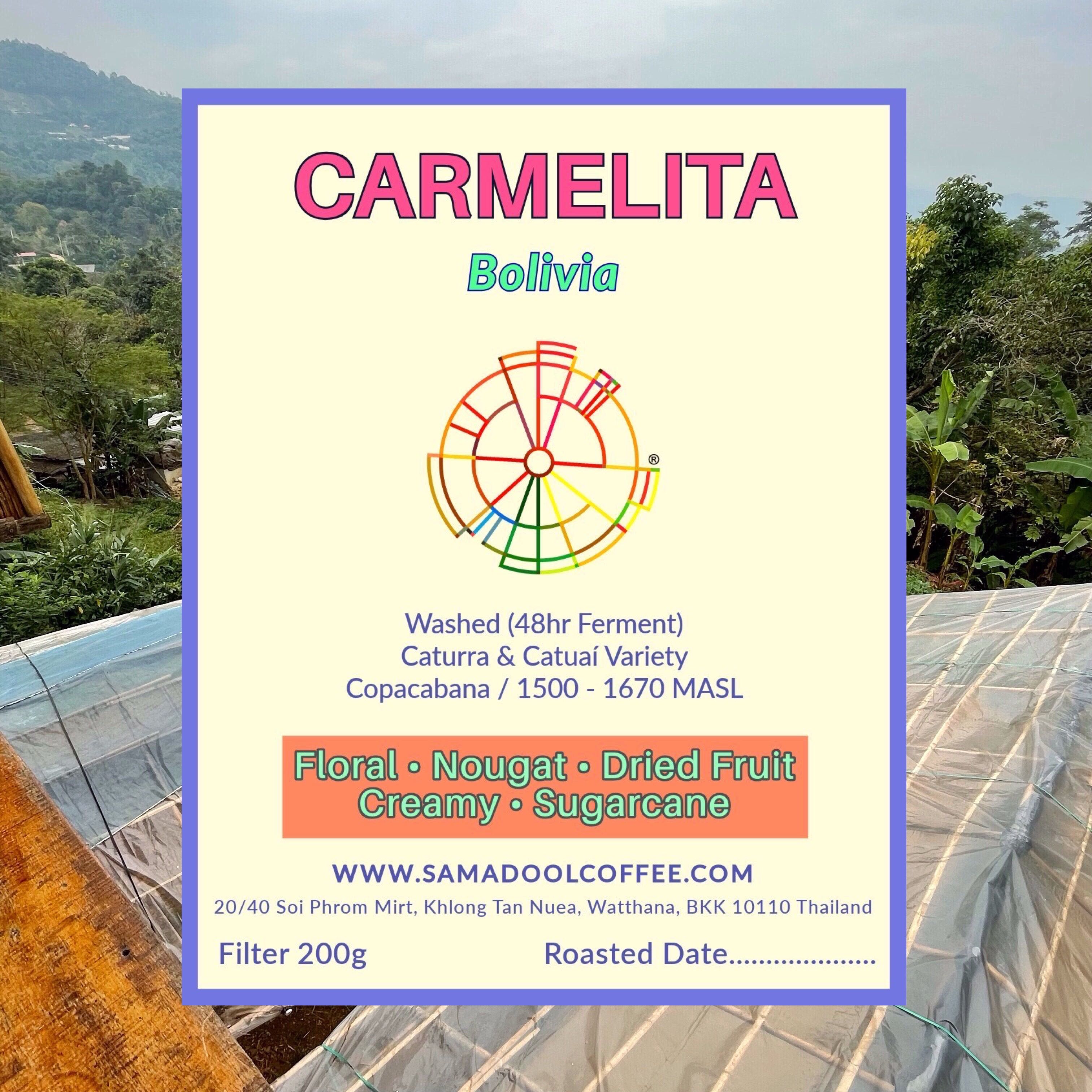 Carmelita -  ( Filter Roasted )