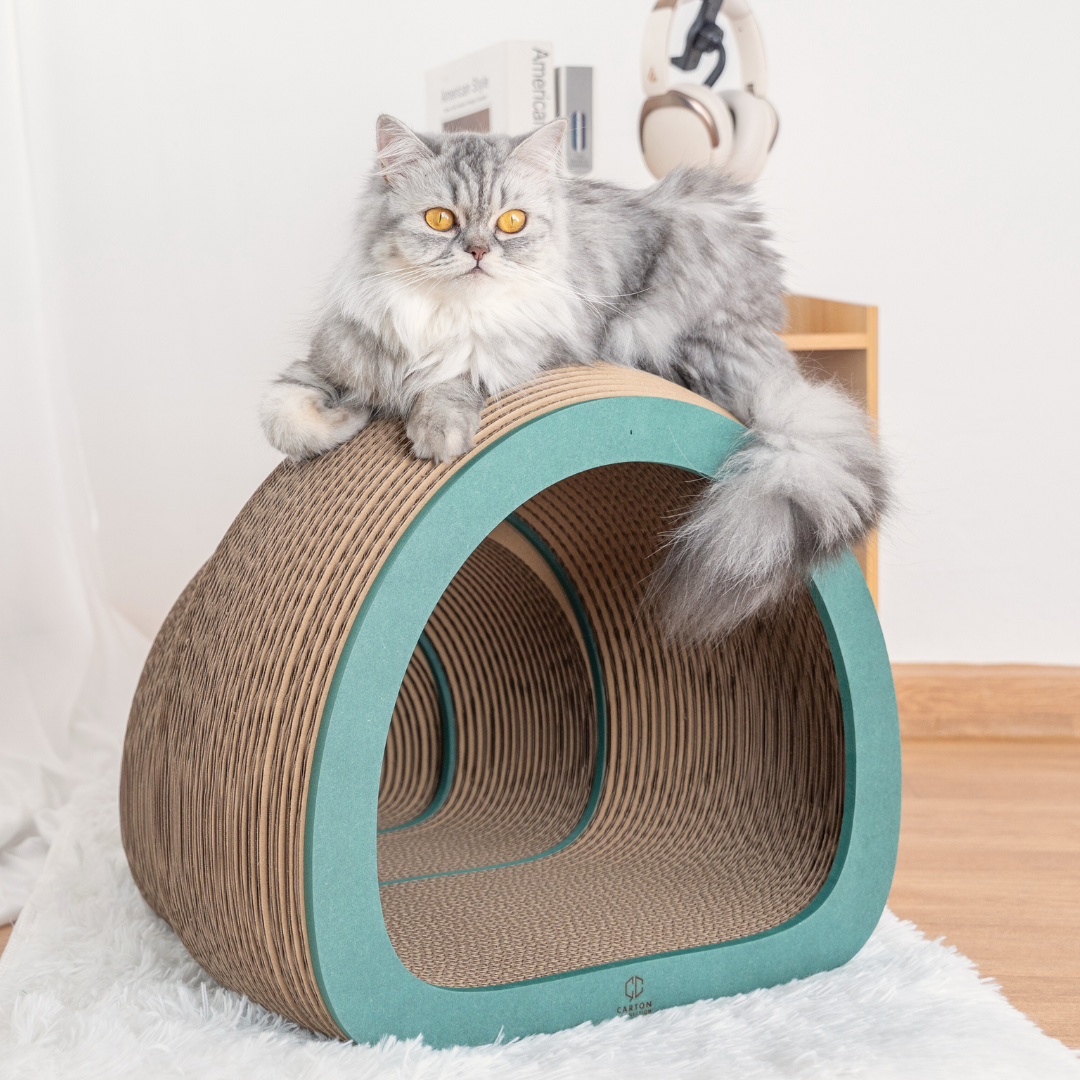 Purrmithor (Pre-order 14-21 วัน)
