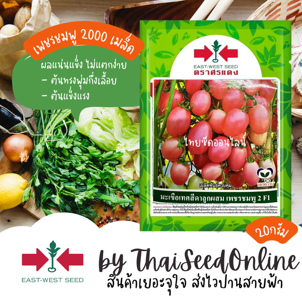 Sorndang(ศรแดง) EWCOM ปริมาณ 2000 เมล็ด มะเขือเทศสีดาลูกผสม เพชรชมพู2 ตราศรแดง