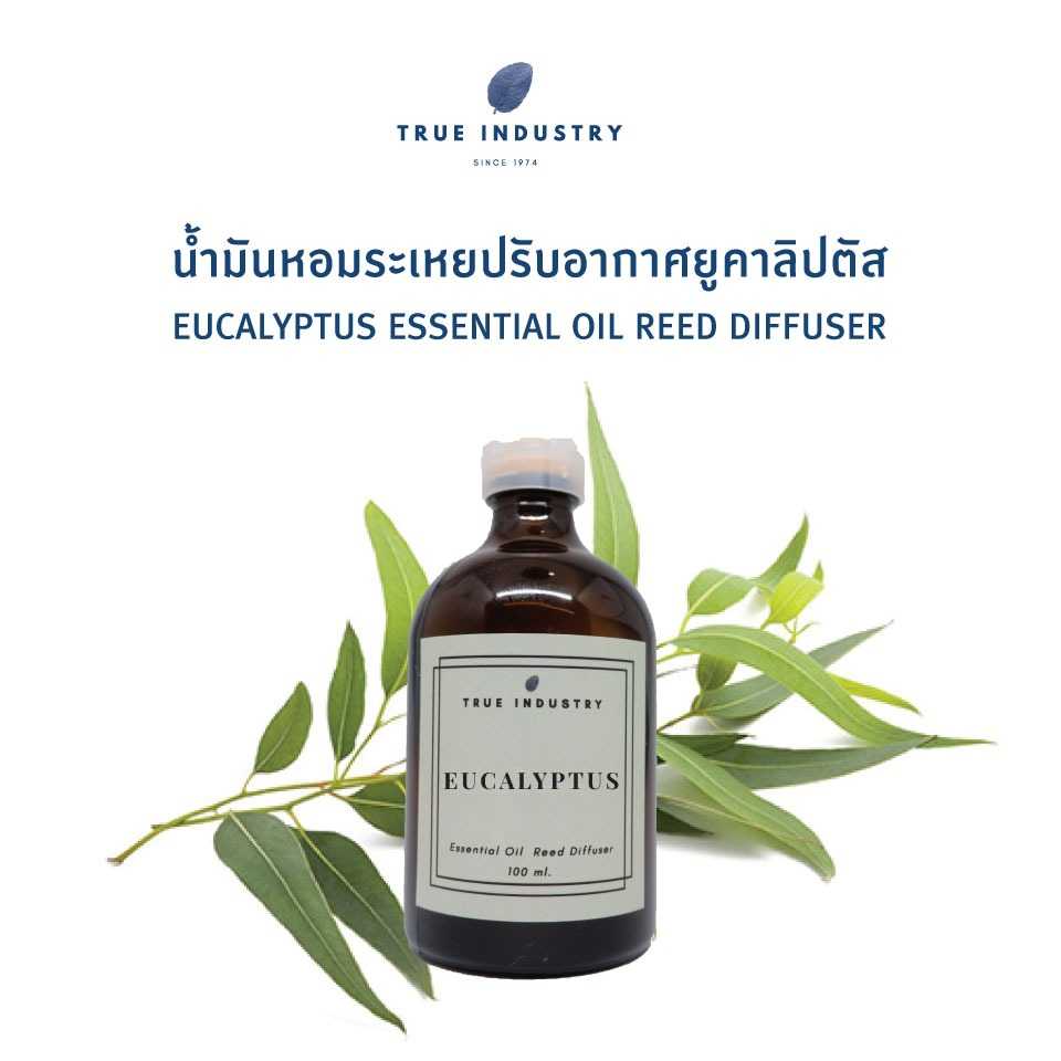 น้ำมันหอมระเหย ยูคาลิปตัส สำหรับปรับอากาศ (Eucalyptus Essential Oil Reed Diffuser)