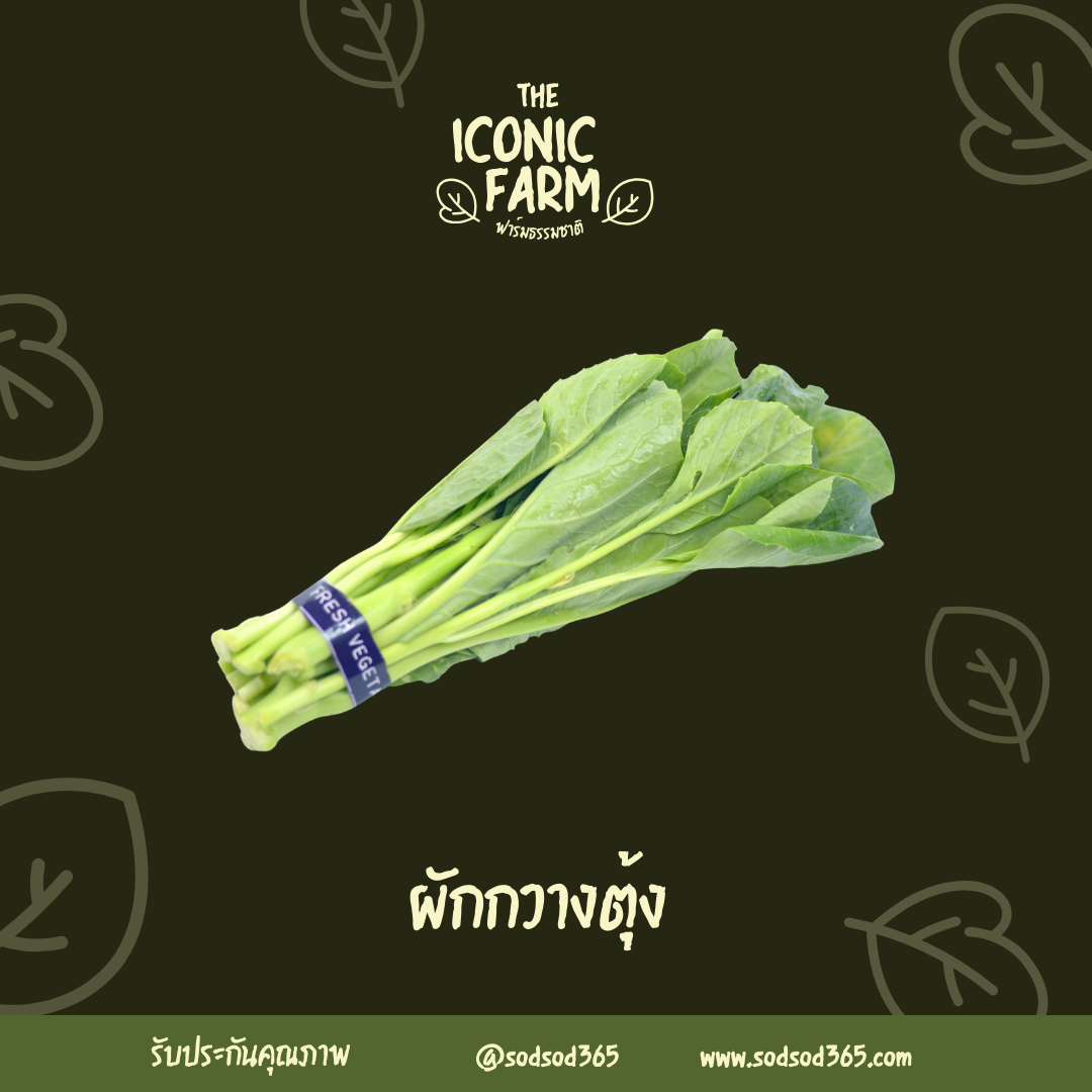 ผักกวางตุ้ง_ไร้สารฯ 500g