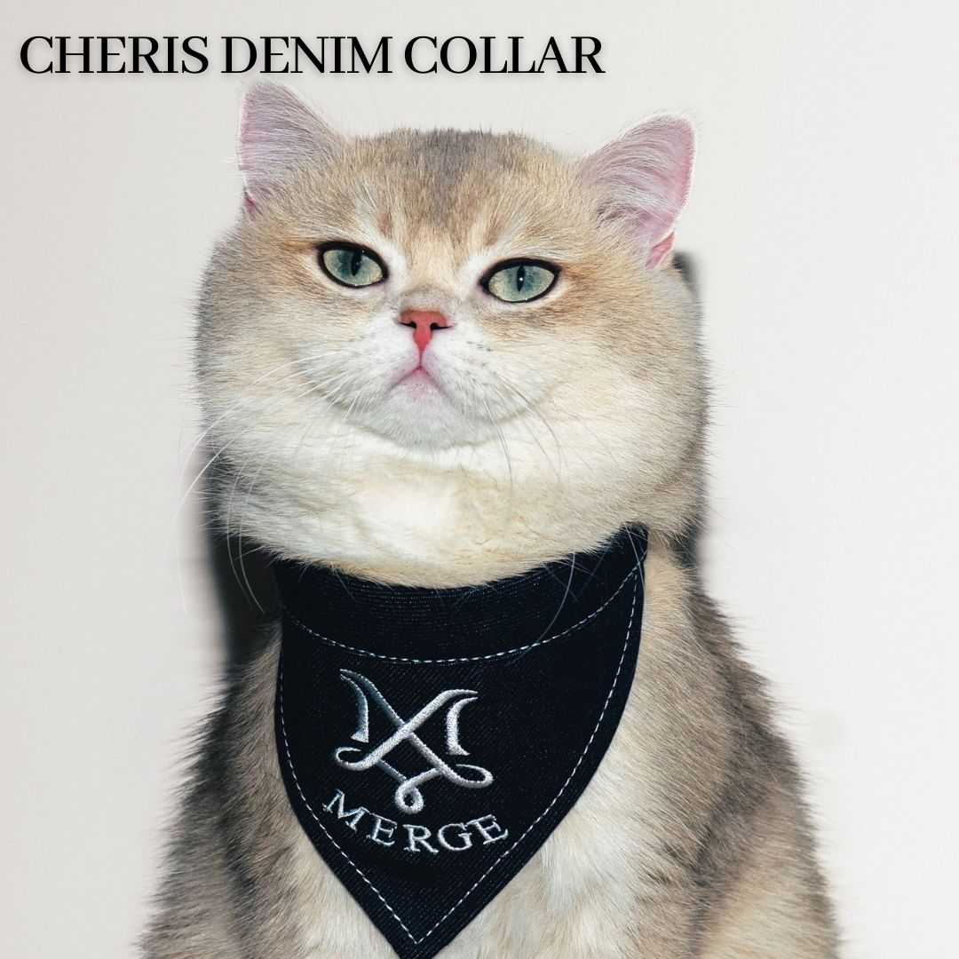 Merge Official - Cheris Denim Collar (พร้อมส่ง)