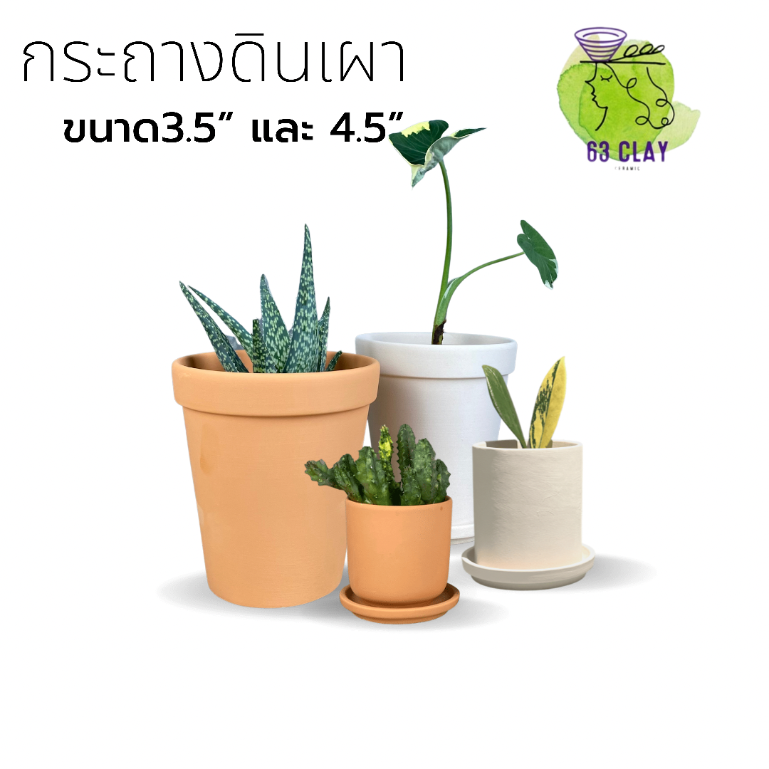 กระถางดินเผาเนื้อเนียน ขนาด3.5นิ้ว และ 4.5นิ้ว มี2สี