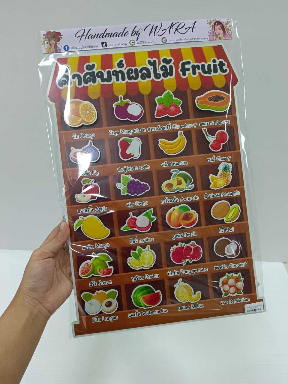 งานสื่อ ติดแปะ ผลไม้ + ขาตั้งใส คำศัพท์ไทย-อังกฤษ