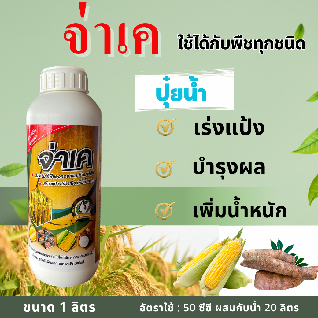 จ่าเค ขนาด1 ลิตร ปุ๋ยน้ำ 0-20-25 สาร NAA สร้างแป้ง เพิ่มน้ำหนัก ฮอร์โมนพืช สะสมอาหาร