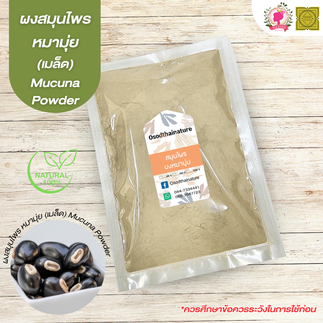 ผงหมามุ่ย (Mucuna powder) ขนาด 500 1000 กรัม หมามุ่ย บดละเอียด สมุนไพร แท้ 100%
