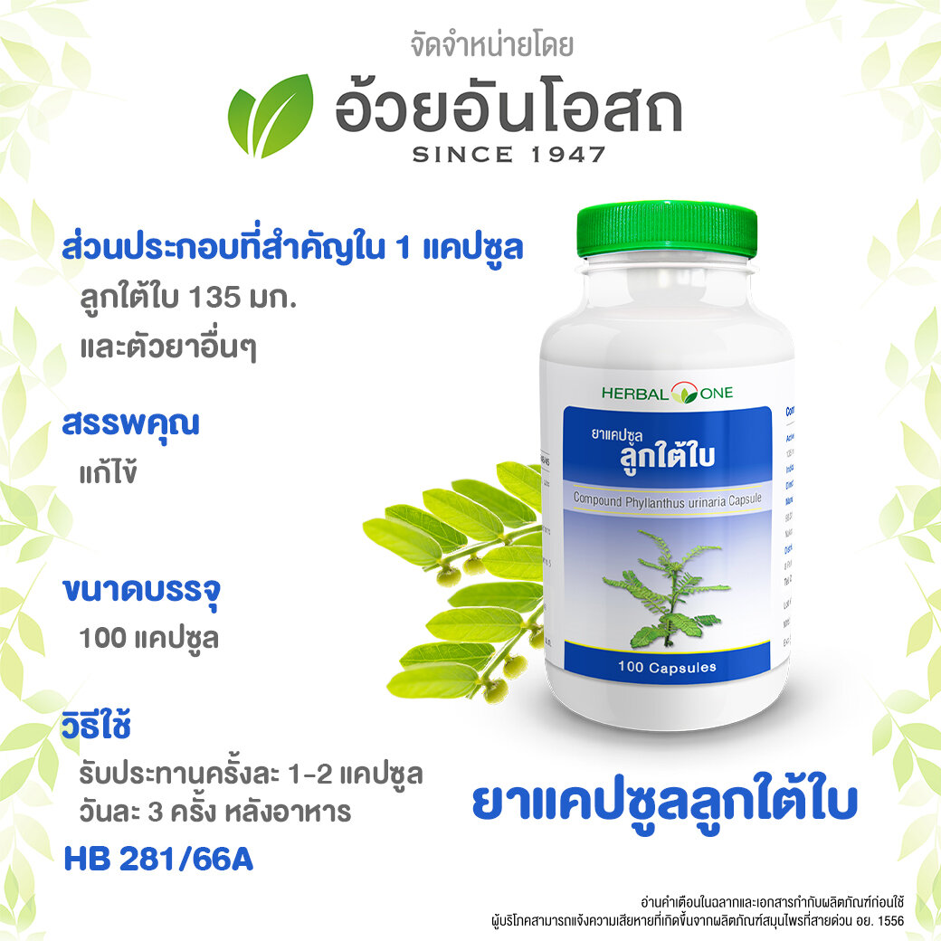 อ้วยอัน ลูกใต้ใบ 100 แคปซูล / Herbal One