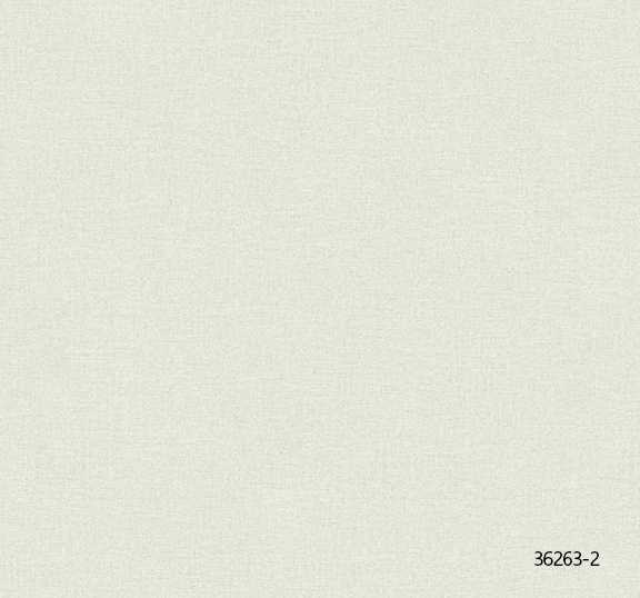 อลเปเปอร์ติดผนัง ลายเรียบ DANIEL HECHTER NO.36263-2