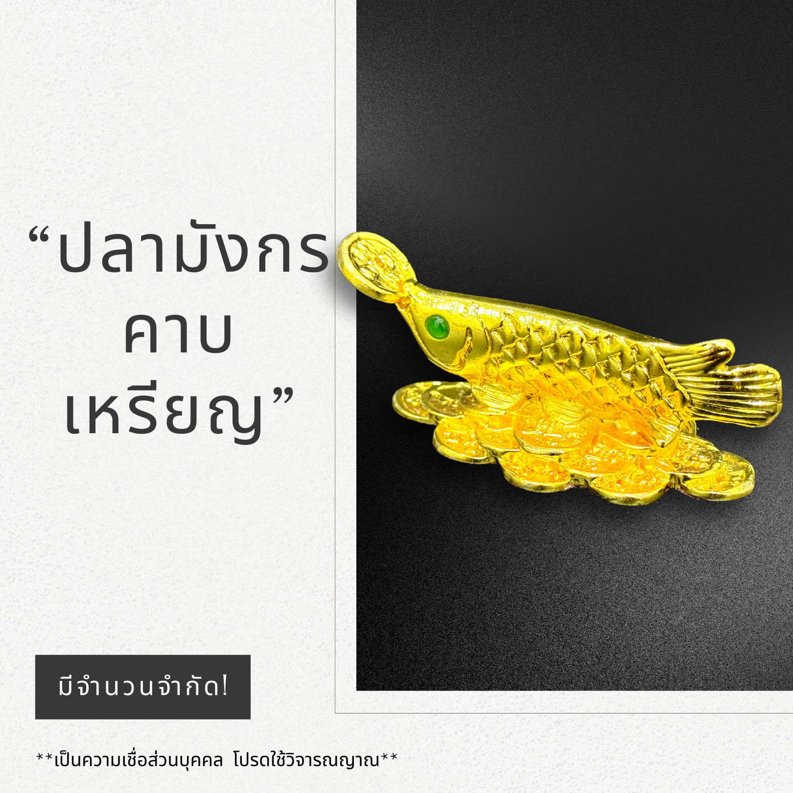 ปลามังกรคาบเหรียญ