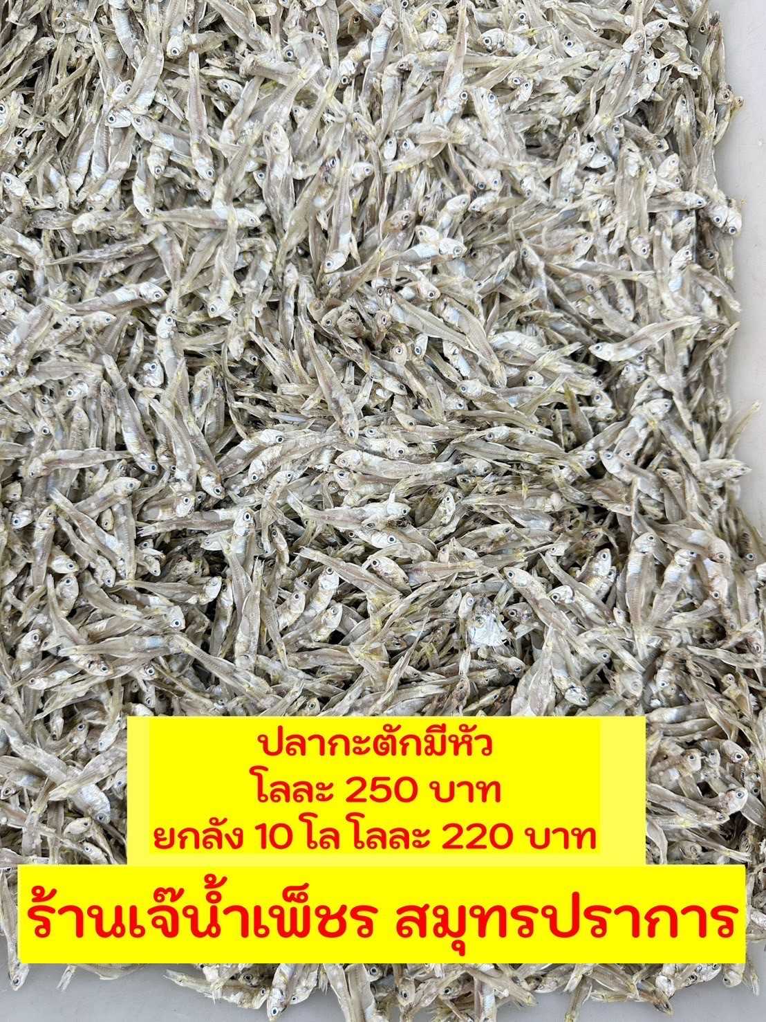 ปลากะตัก 5โล  โลละ   220