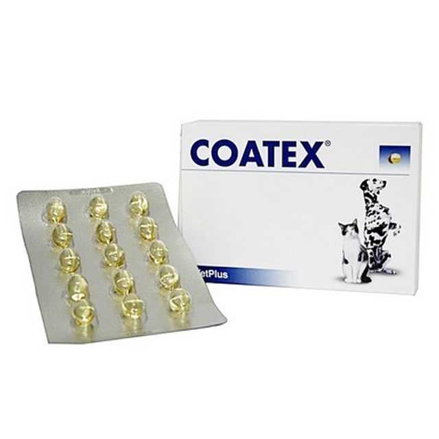 COATEX 60 capsule วิตามินบำรุงขน (วิตามินเสริมไขมัน) 60 เม็ด