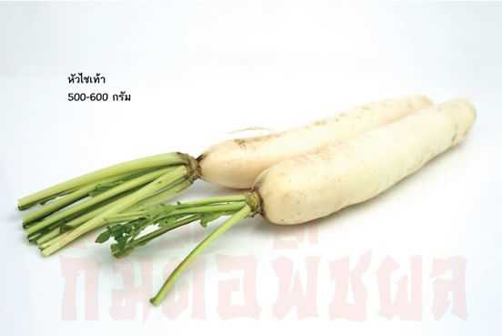 หัวใช้เท้า( Radish)