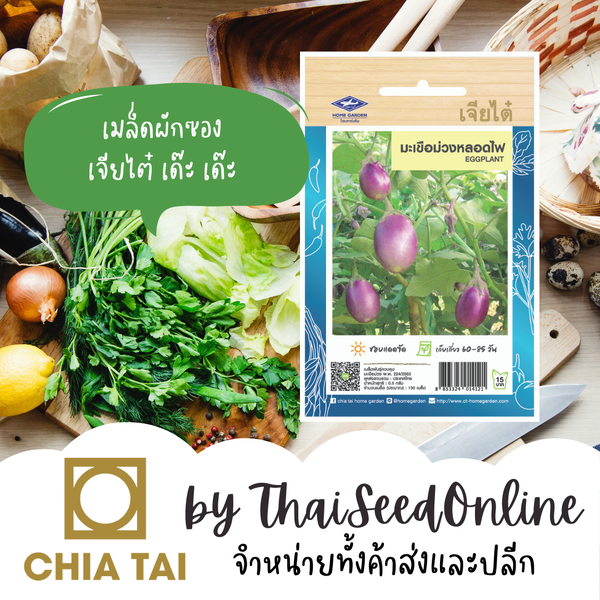 CTOP เมล็ดพันธุ์ มะเขือม่วงหลอดไฟ ตราเจียไต๋ Light Bulb Shaped Purple Eggplant มะเขือเปราะสีม่วง