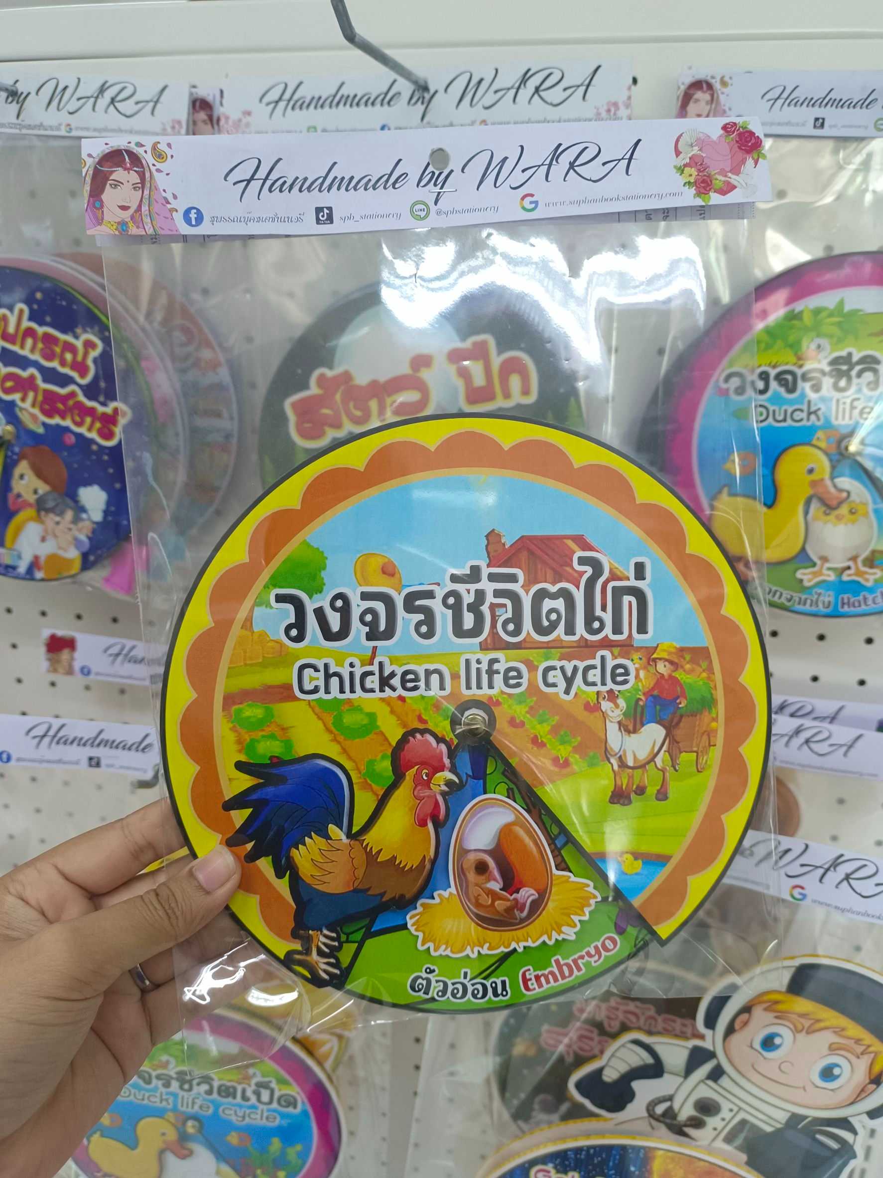 งานสื่อ วงจรชีวิตไก่ + ขาตั้ง ไทยอังกฤษ A5