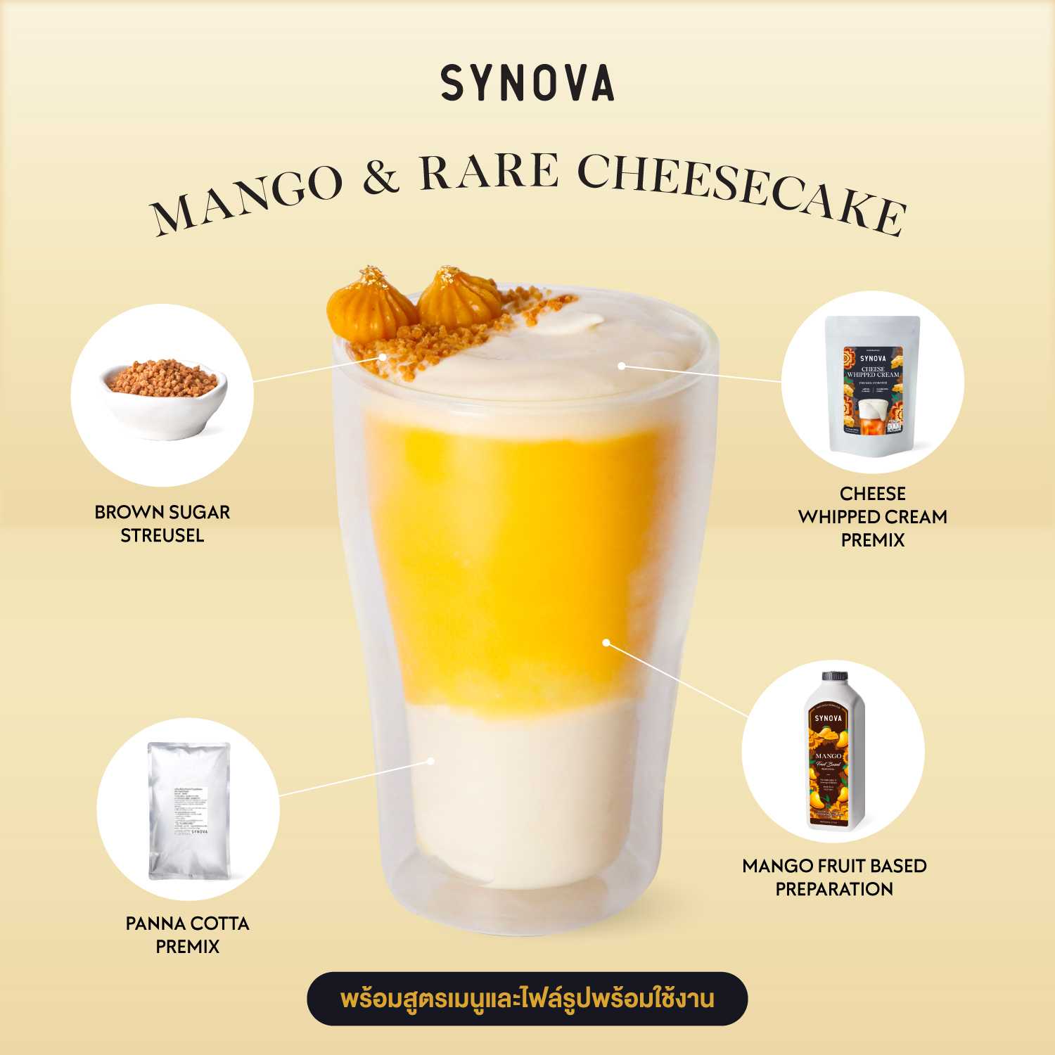เซ็ตเครื่องดื่ม SYNOVA : เมนูมะม่วง และ แรร์ชีสเค้ก พร้อมภาพ และสูตรชงเครื่องดื่ม (เซ็ต)