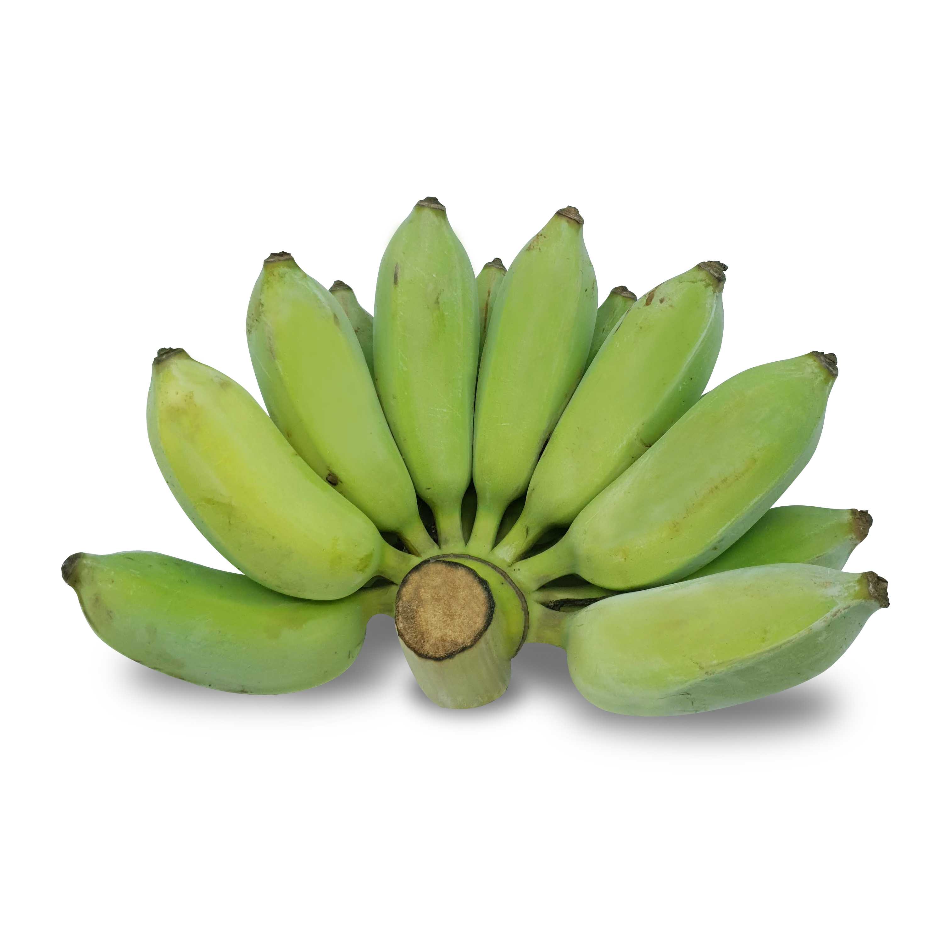 กล้วยน้ำว้าปลอดสาร (Banana 65.-/pc.)