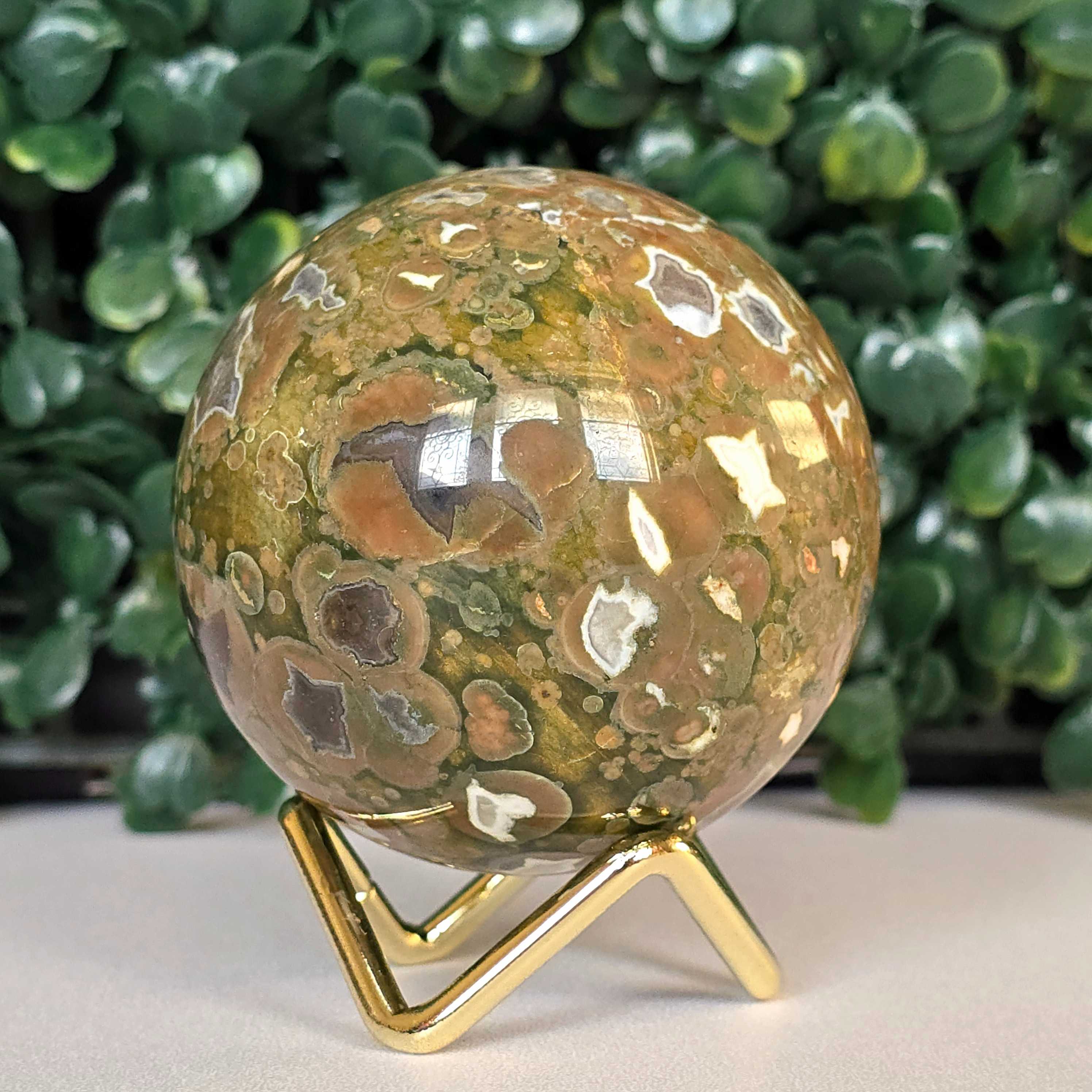 Rhyolite /Rainforest Rhyolite no.1