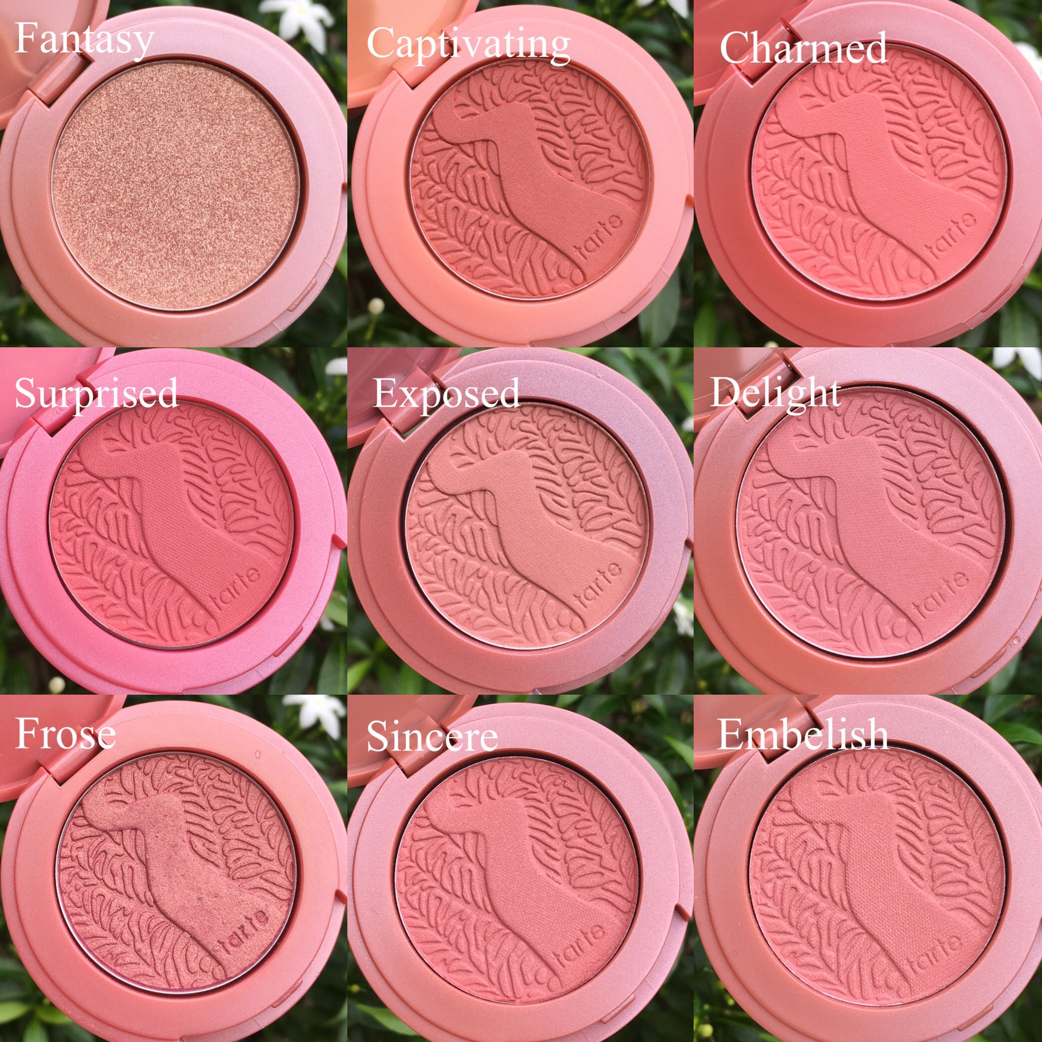 Tarte blush mini