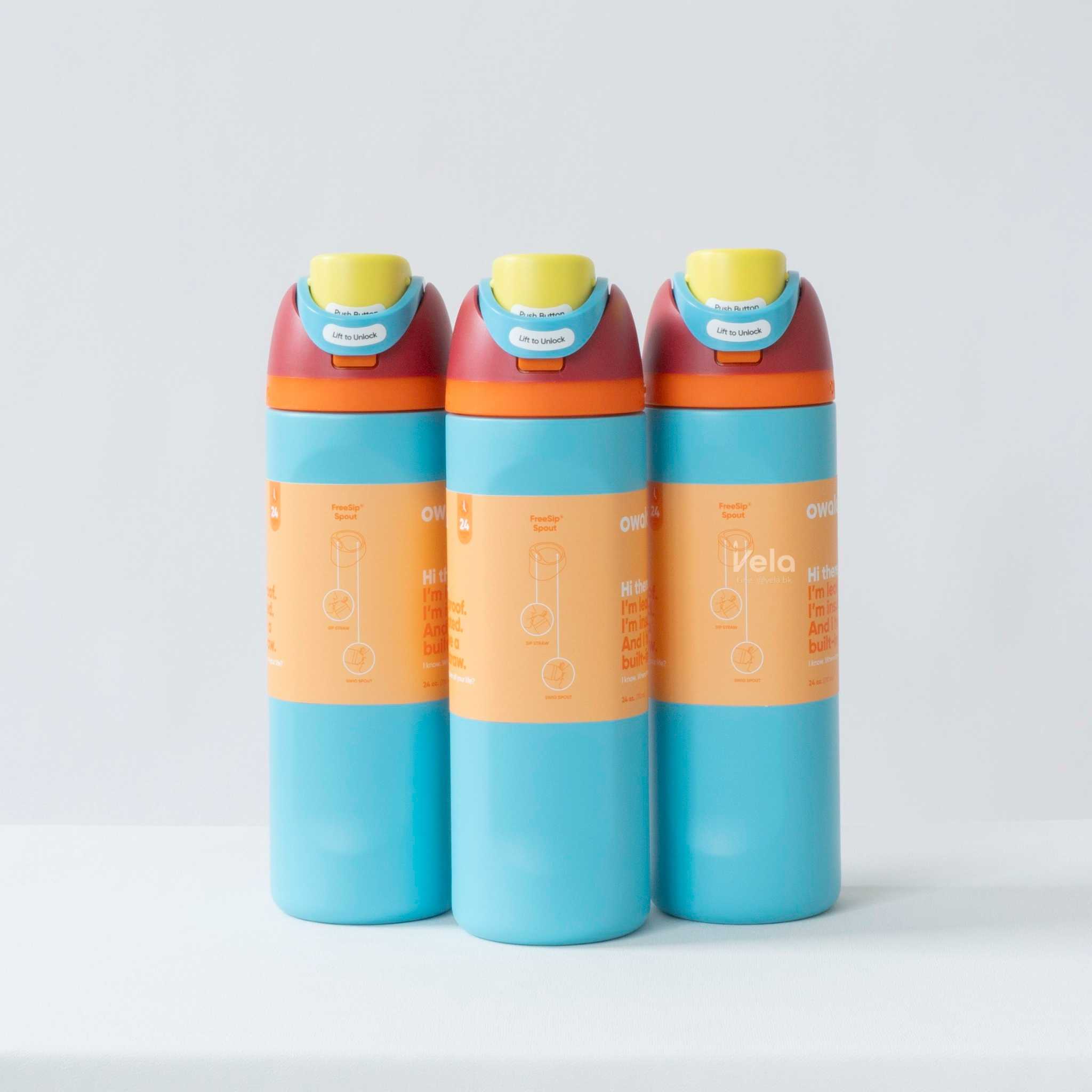 Owala FreeSip 24 oz (Summer Sweetness)
