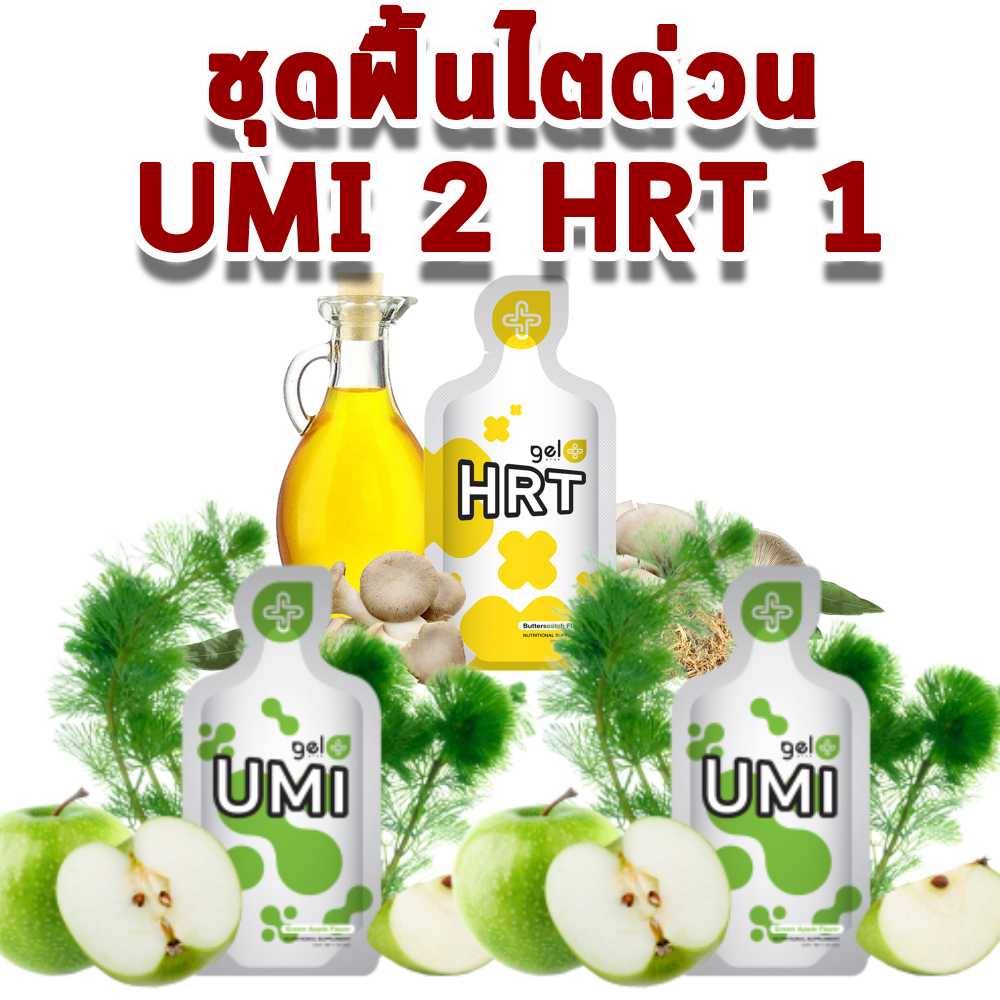 ชุดฟื้นไตด่วน UMI 2 HRT 1