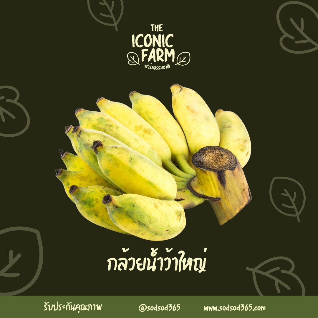 กล้วยน้ำว้า