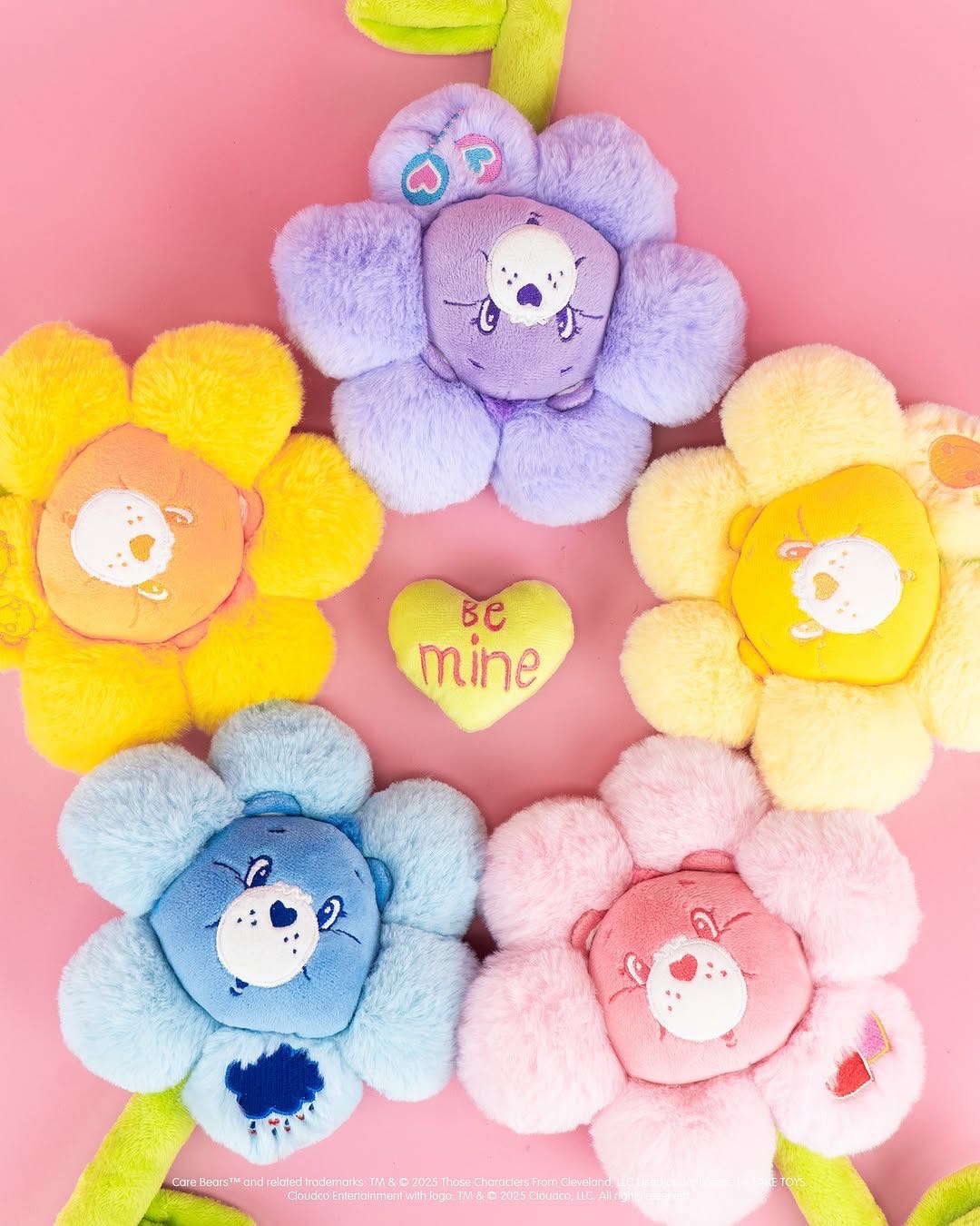 🧸 Carebears Bloom
