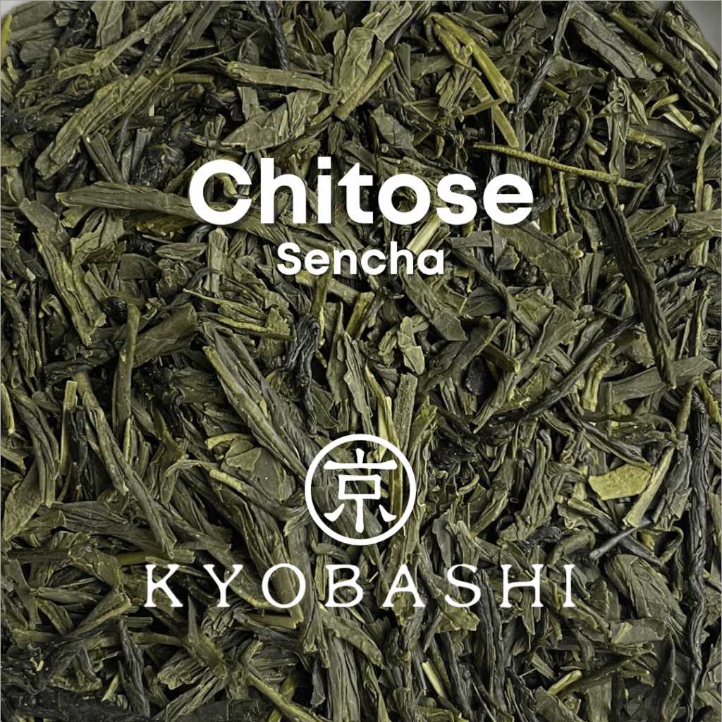 SENCHA ชาเขียว เซนฉะ จิโตะเสะ 煎茶 千歳