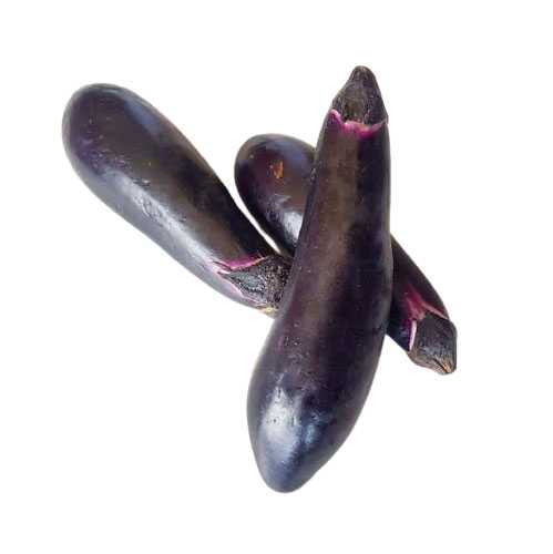 FG09005 มะเขือม่วงยาวก้านดำ Long Eggplant ( 500g )