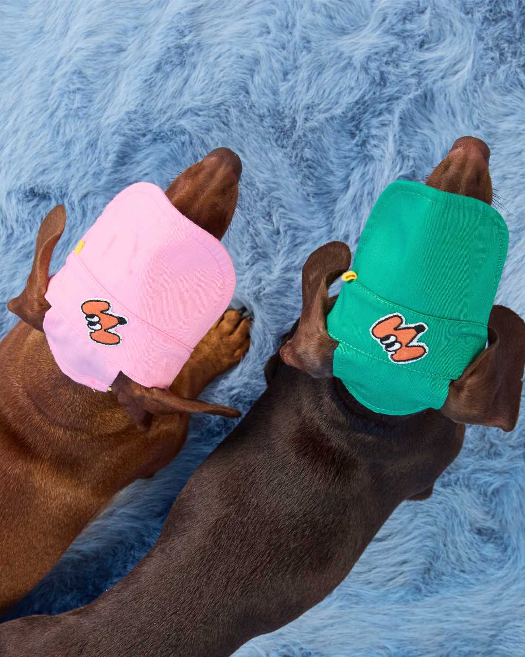 (Look23) Pink Pet Cap