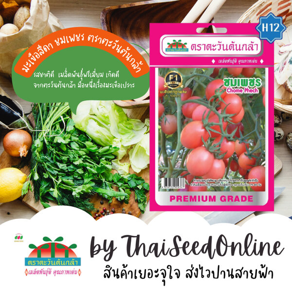 Advance Seeds(ตราตะวันต้นกล้า) Advance Seeds(ตราตะวันต้นกล้า) ADVF1 ซฟ เมล็ดพันธุ์ มะเขือสีดา ชมเ...