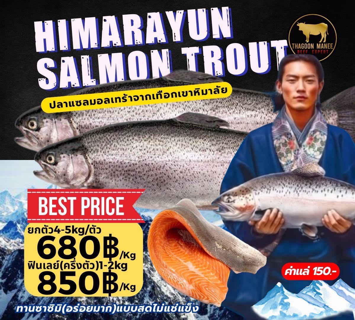 Himarayun Salmon Trout