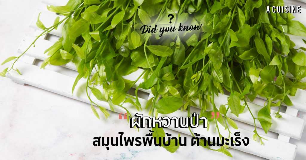ผักหวานป่า 500 กรัม