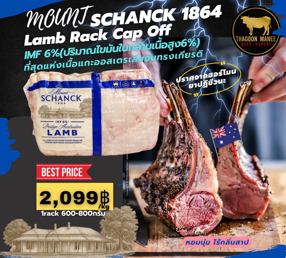 MOUNT SCHANCK 1864(Lamb Rack Cap Off)