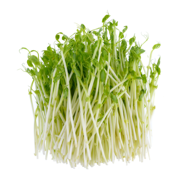 โตเหมี่ยว แพค200g (ต้นอ่อนถั่วลันเตา)