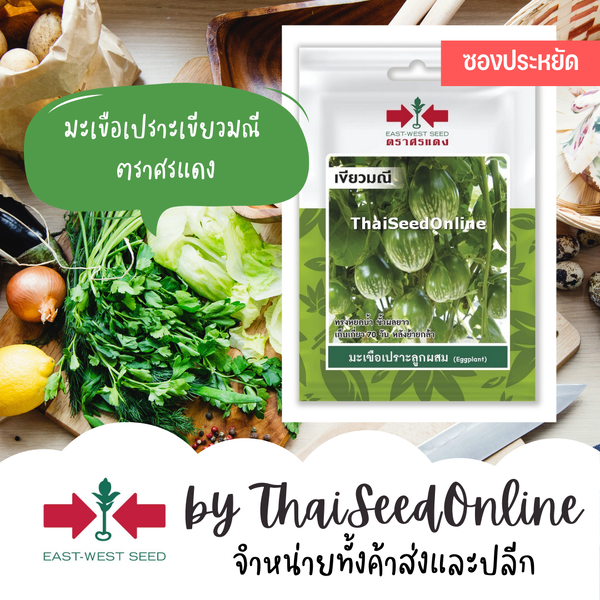ศรแดง VP3 ซฟ เมล็ดพันธุ์ มะเขือเปราะคางกบลูกผสม เขียวมณี 50เมล็ด ตราศรแดง Eggplant