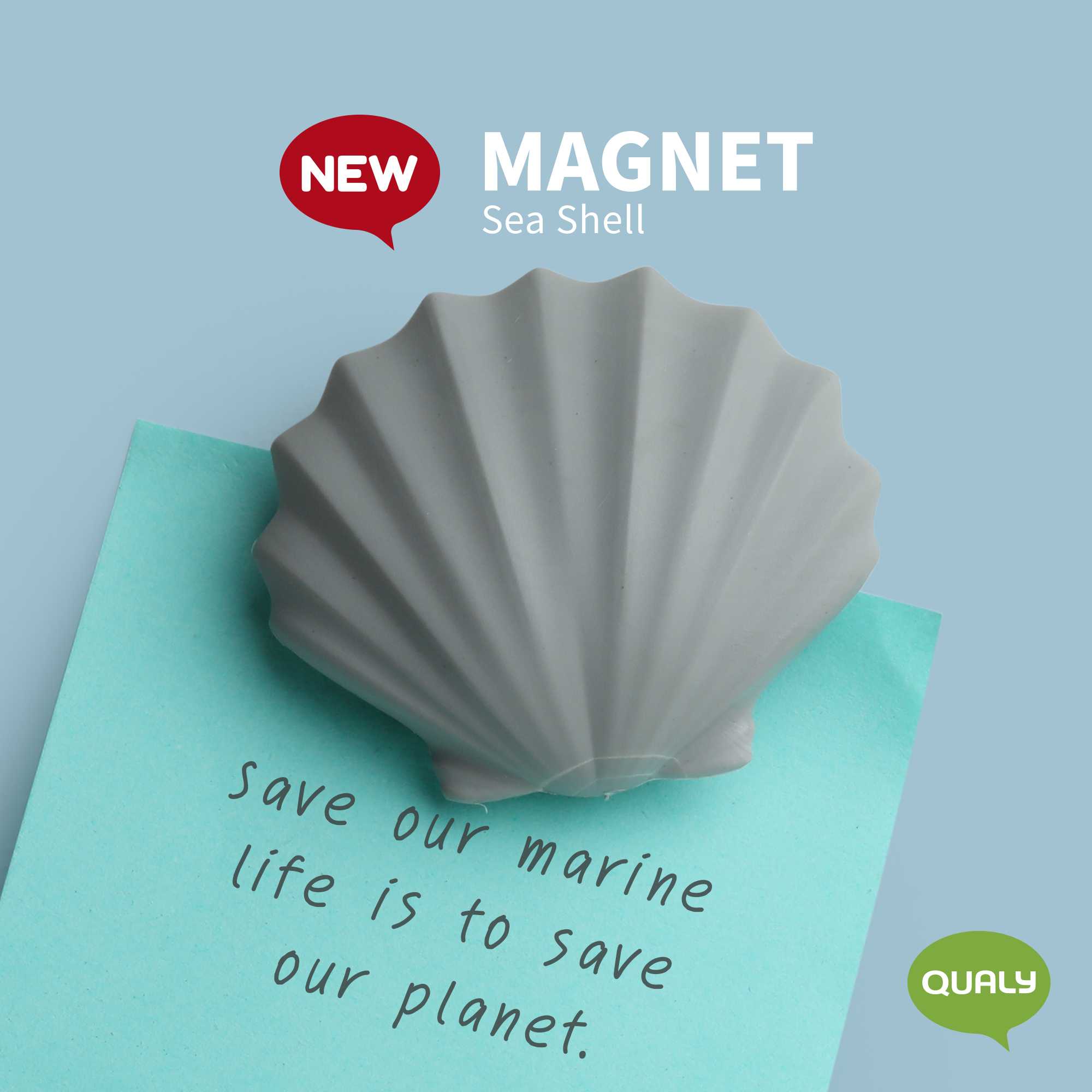 Sea Shell Magnet แม่เหล็กติดตู้เย็น ดีไซน์ หอยเชลล์  Qualy (ควอลี่)