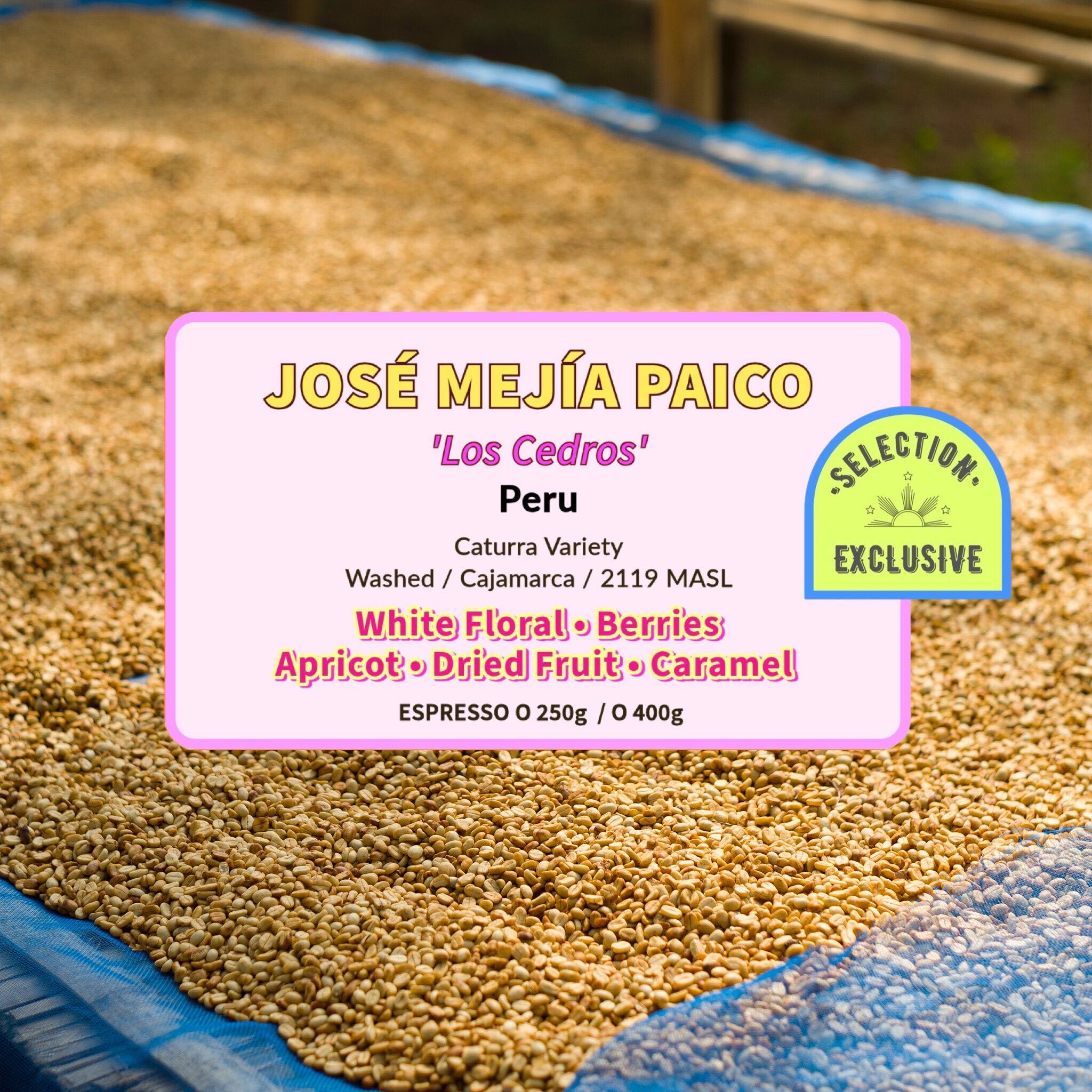 José Mejía Paico ( Espresso Roasted )