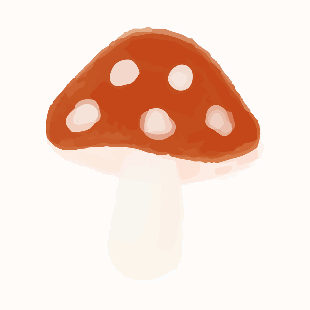 An Image