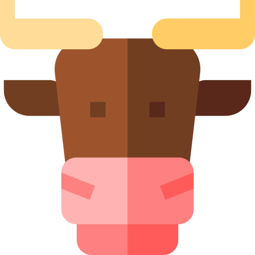 An Image