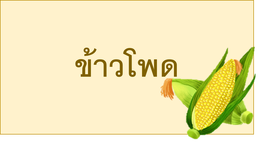 An Image
