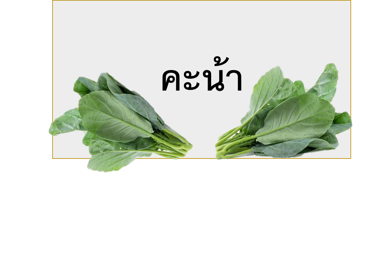 An Image