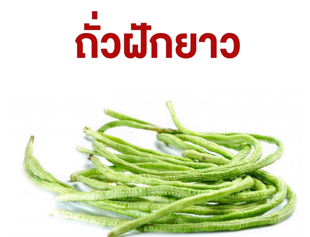 An Image