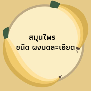 An Image