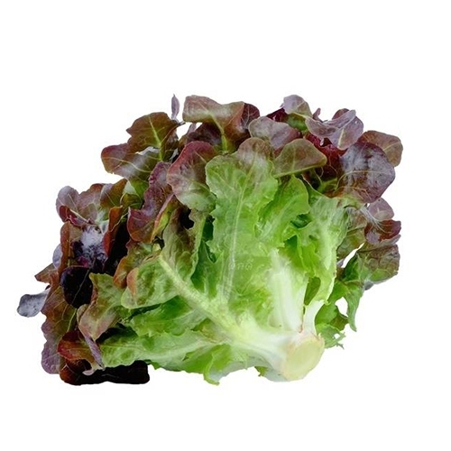 An Image