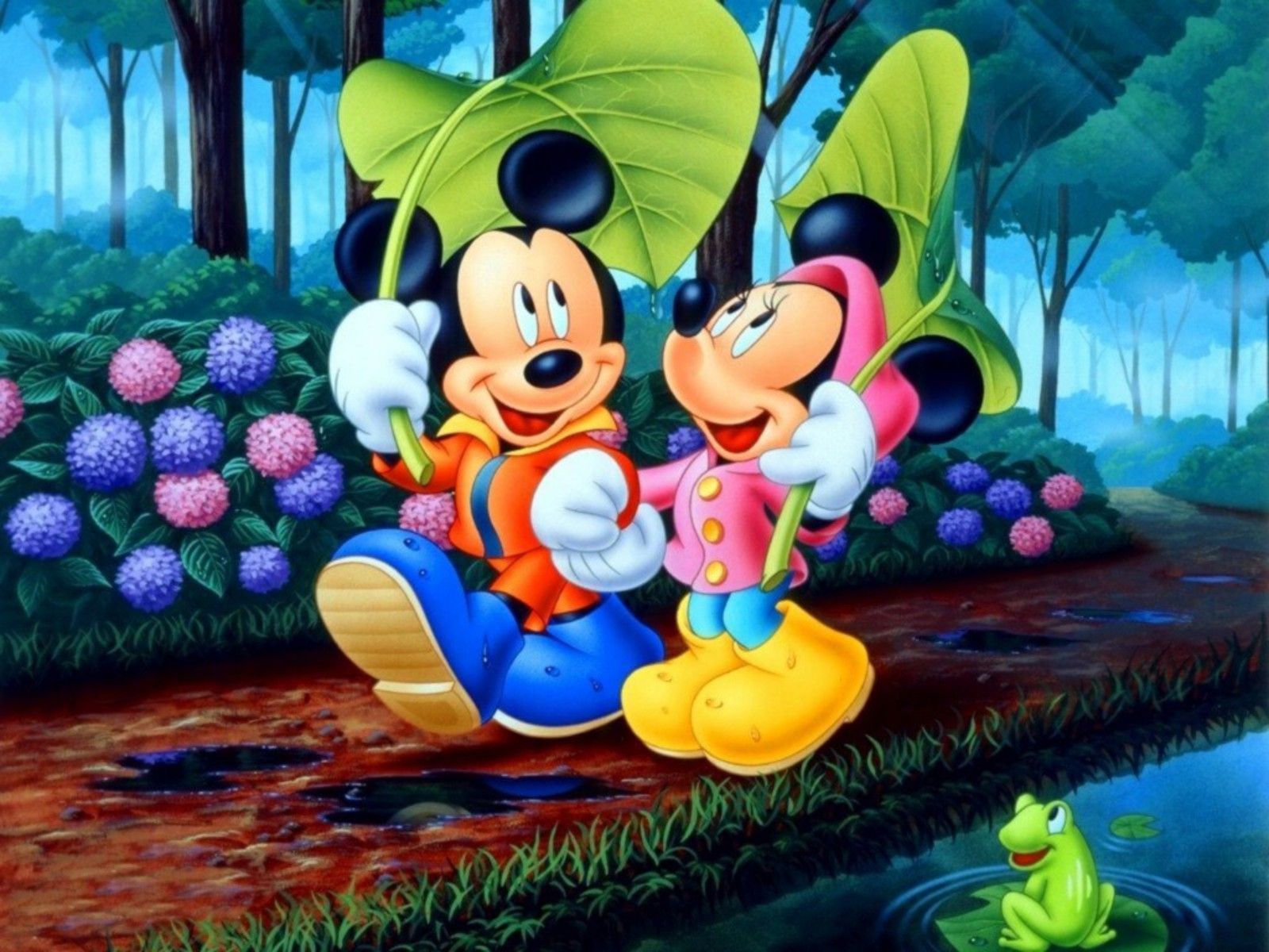 An Image