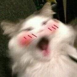 An Image
