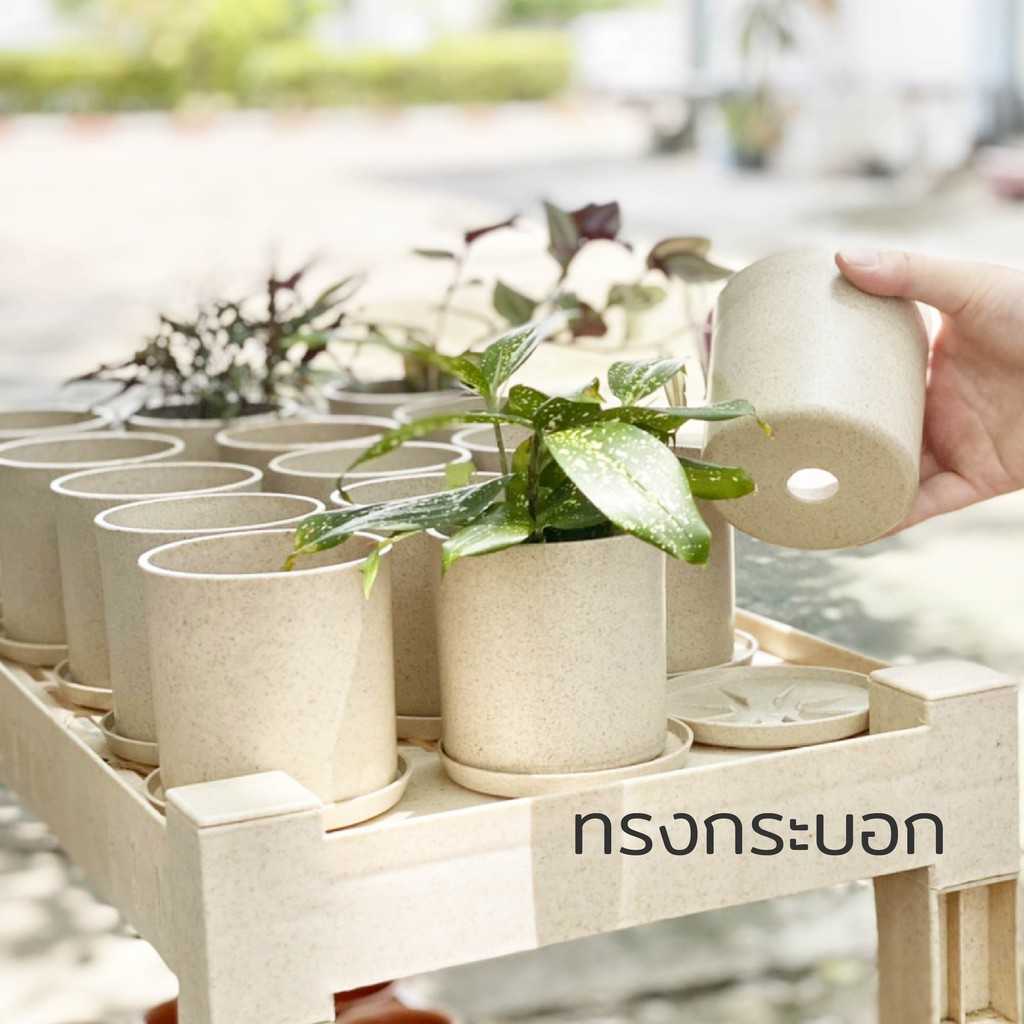 [เซต 12 ชุด] กระถางต้นไม้มินิมอล 3.5 นิ้ว ทรงกระบอก แถมจานรอง