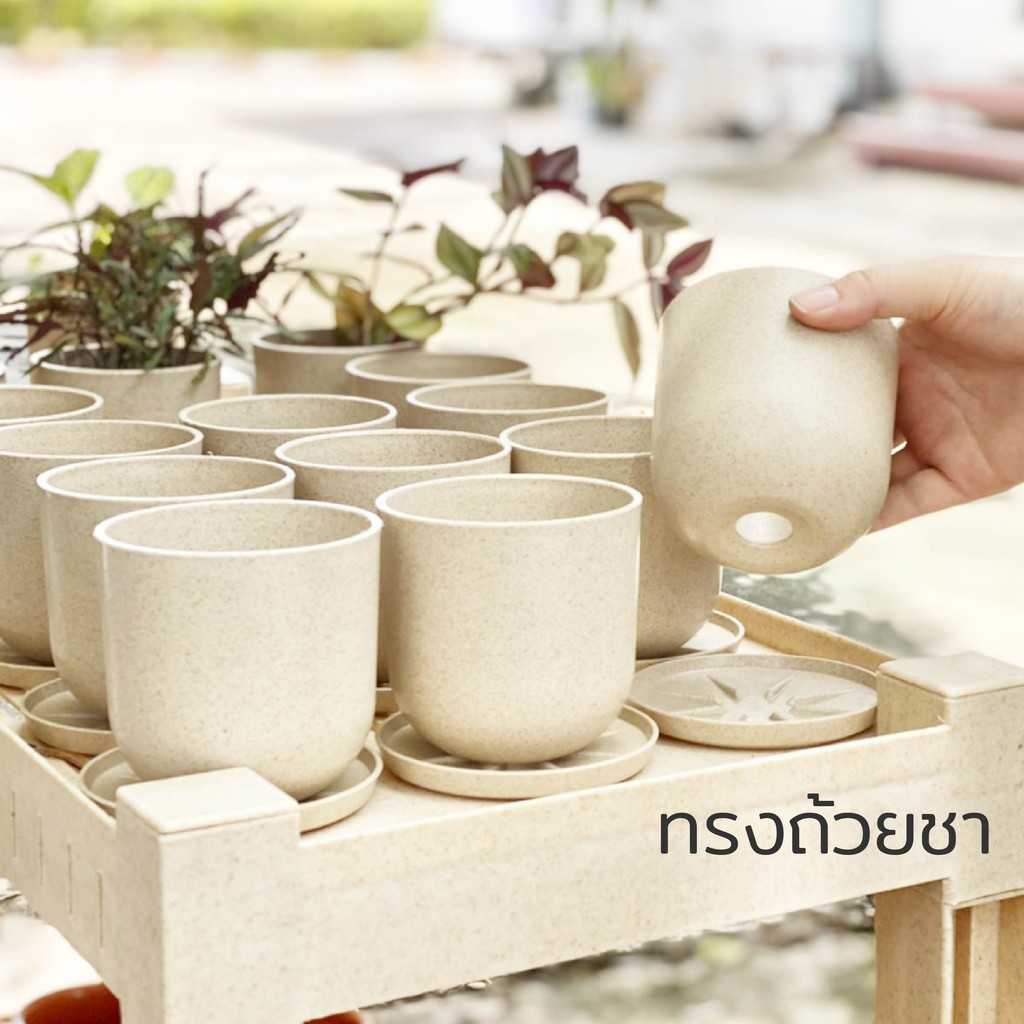 [เซต 12 ชุด] กระถางต้นไม้มินิมอล 3.5 นิ้ว ทรงถ้วยชา แถมจานรอง