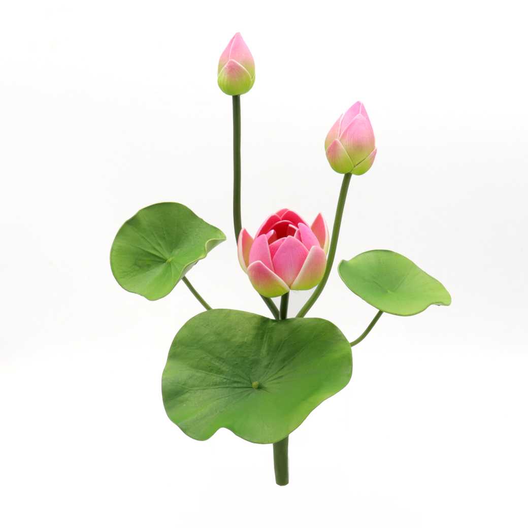 ดอกบัวหลวง - สีชมพู - Accessories