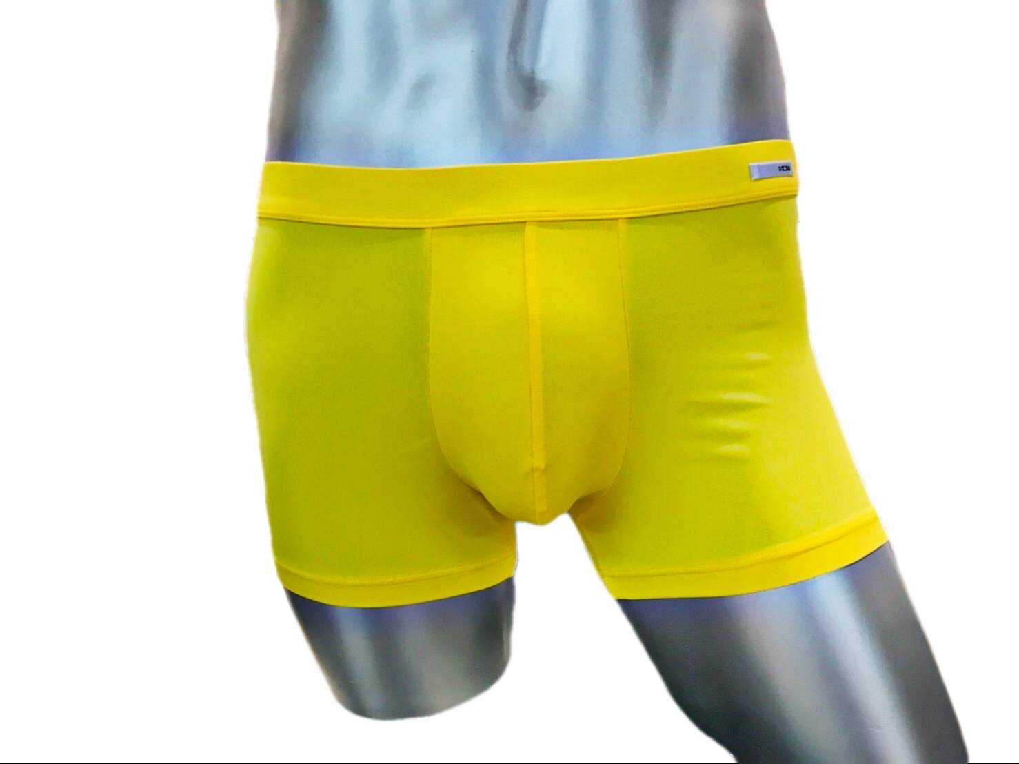 401823 Palette Boxer Briefs สี 1951